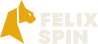 Felixspin App